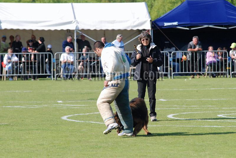 3 EME SELECTIF 2009 GRANDE SYNTHE 280.jpg